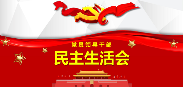 2024年度民主生活会班子对照检查情况汇报 