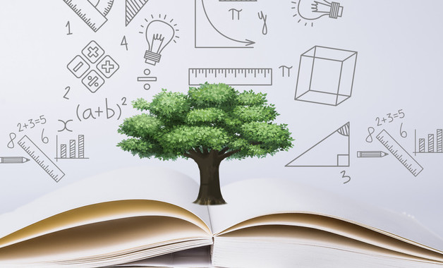 学校秋季运动会的活动总结