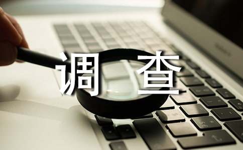大学生消费情况调查报告通用15篇