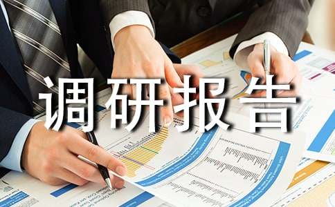 (精华)农村人居环境整治调研报告