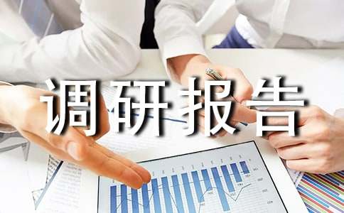 城市建设调研报告（精选13篇）