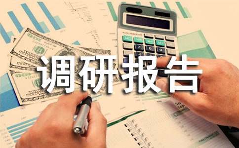 乡镇调研报告