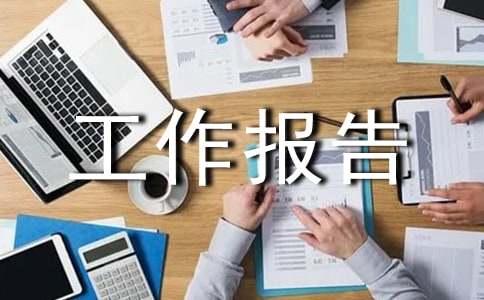在建设平安区动员大会上的工作报告