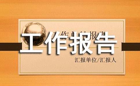 在建设平安区动员大会上的工作报告
