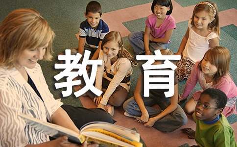 机关集中教育整顿工作情况报告