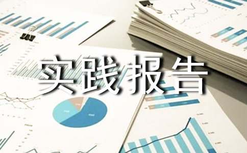 寒假补课社会实践报告（通用8篇）