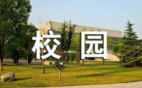 2022年校园课外读物自查报告