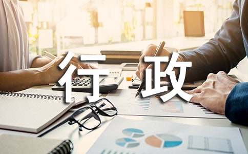 审计局行政执法自查报告