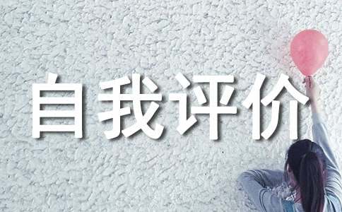 工作态度及自我评价