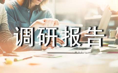 所得税调研报告