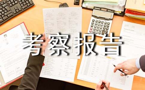 对个人考察报告