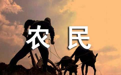 农民增收情况报告