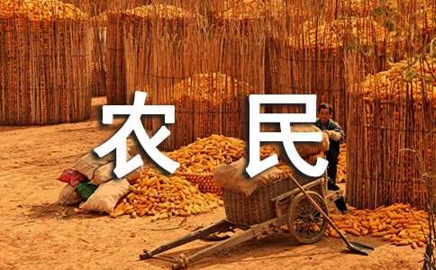 农民工返乡对我区社会治安影响调研报告