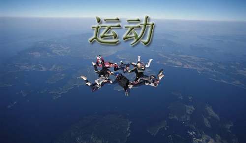 运动服装品牌调研报告（精选14篇）
